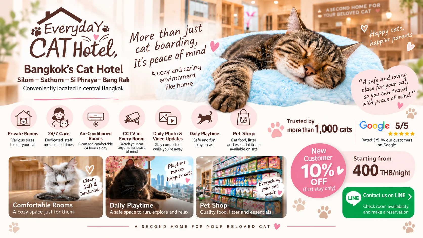 Everyday Cat hotel