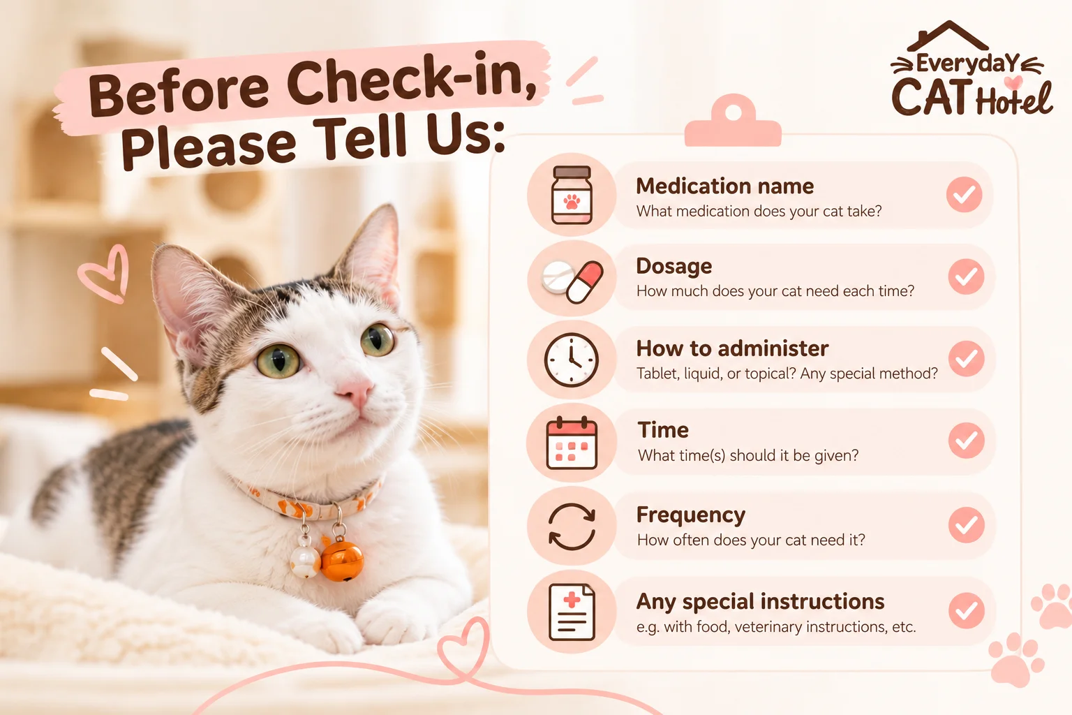 Can a Cat Hotel Give Medication to Your Cat? What to Know Before Boarding