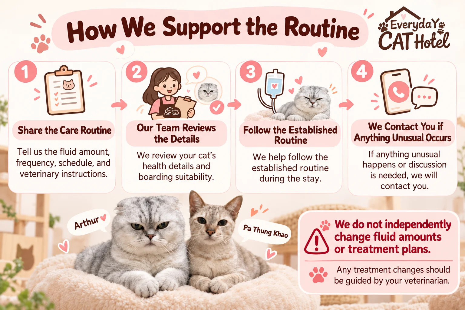 Subcutaneous Fluid Support at Everyday Cat Hotel