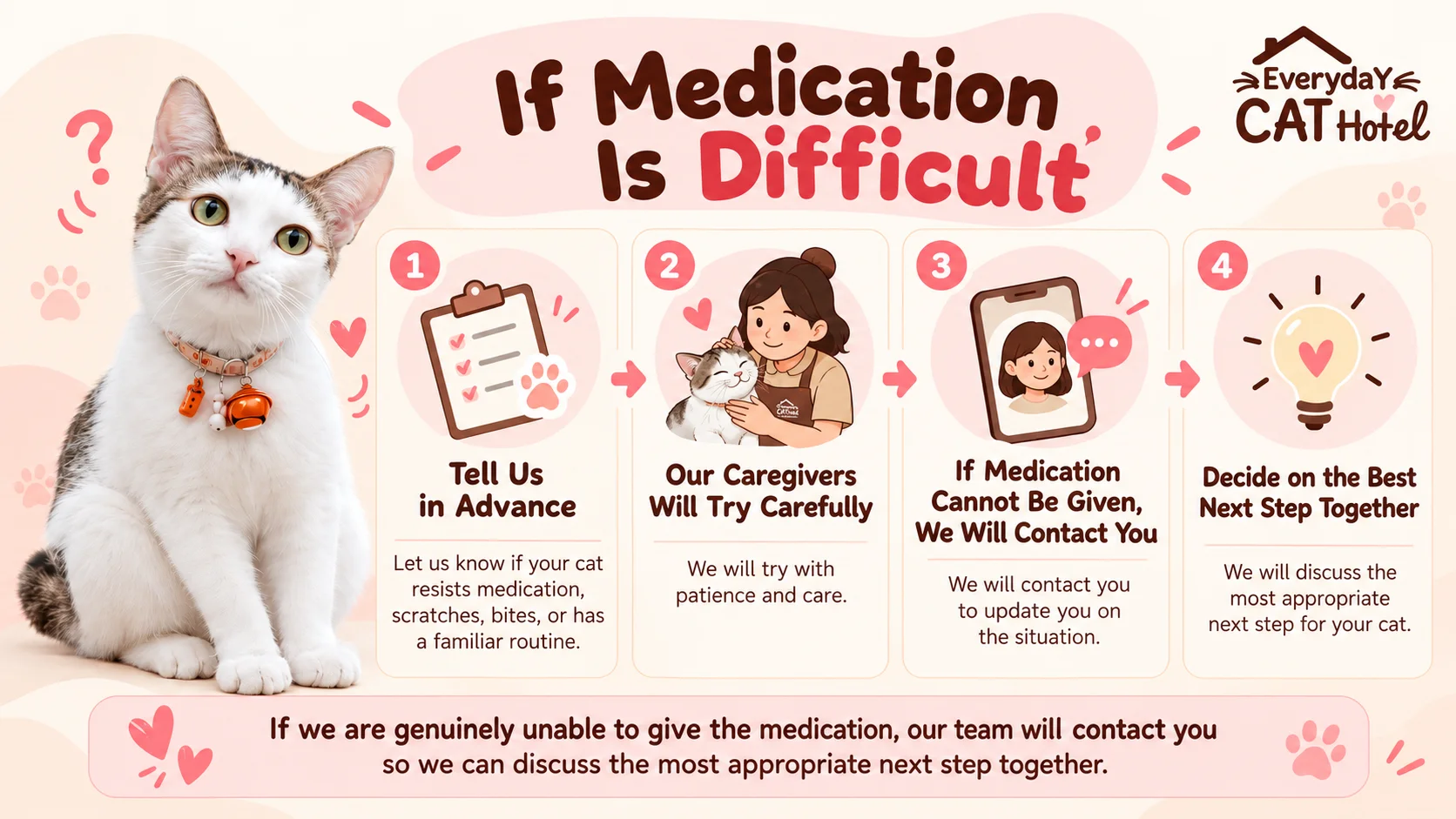 Can a Cat Hotel Give Medication to Your Cat? What to Know Before Boarding