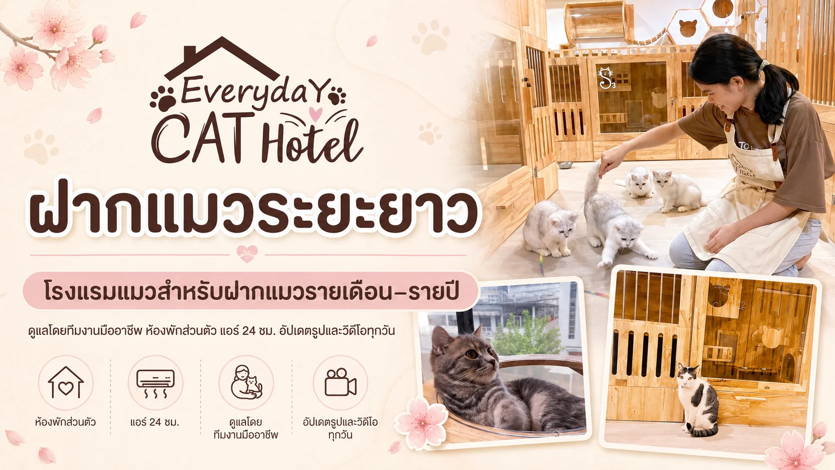 Everyday Cat Hotel Bangkok