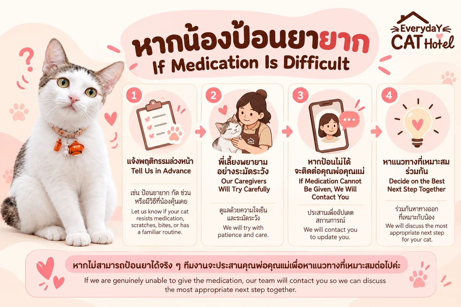 โรงแรมแมวสามารถป้อนยาให้น้องแมวได้ไหม? สิ่งที่ควรรู้ก่อนฝากแมว