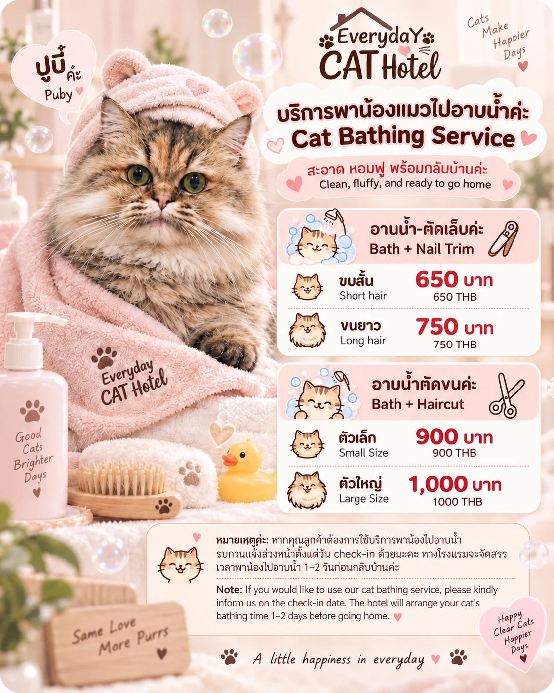 บริการพาน้องแมวไปอาบน้ำ-ตัดขน