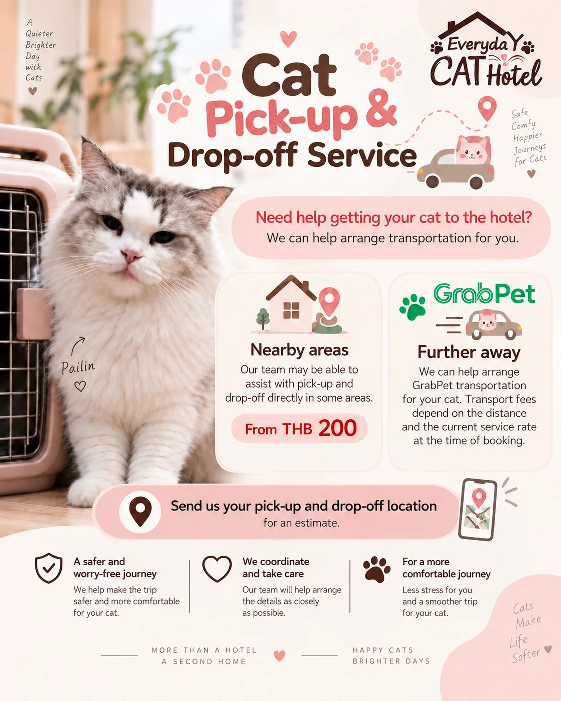 Cat Pick-up & Drop-off Service | Everyday Cat Hotel Bangkok
