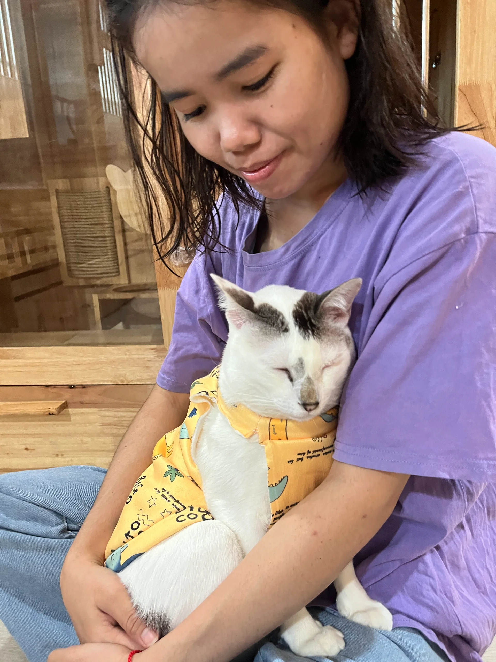 ฝากแมวครั้งแรก น้องจะกลัวไหม? แมวขี้กลัวปรับตัวอย่างไรใน 2–3 วันแรก