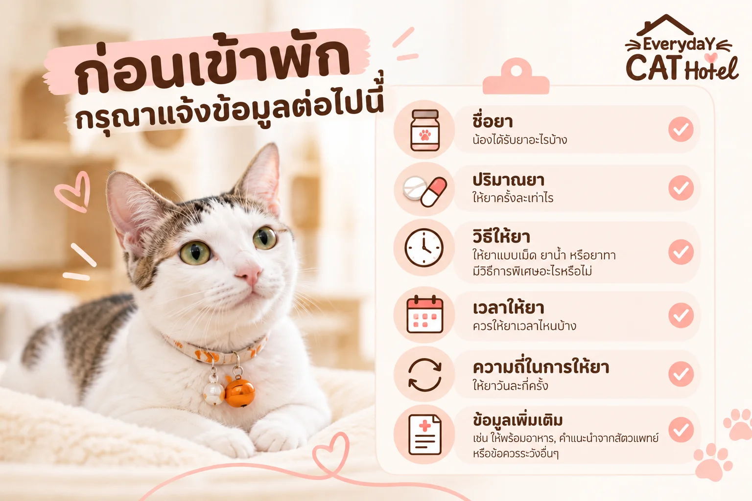 โรงแรมแมวสามารถป้อนยาให้น้องแมวได้ไหม? สิ่งที่ควรรู้ก่อนฝากแมว
