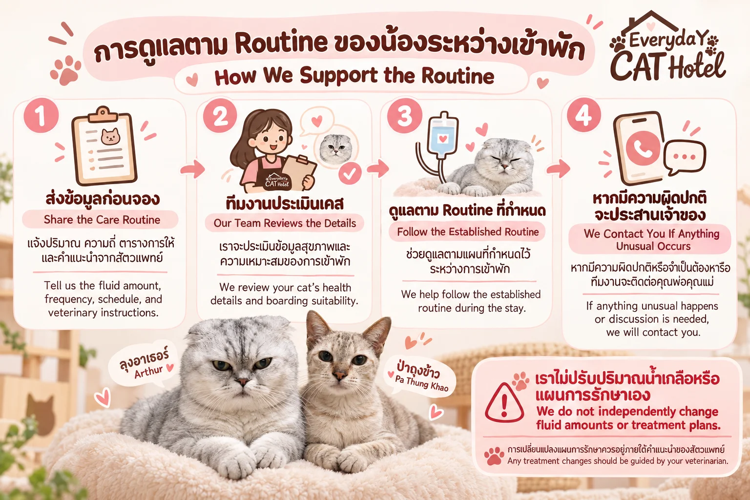 การดูแลแมวที่ต้องให้น้ำเกลือที่ Everyday Cat Hotel