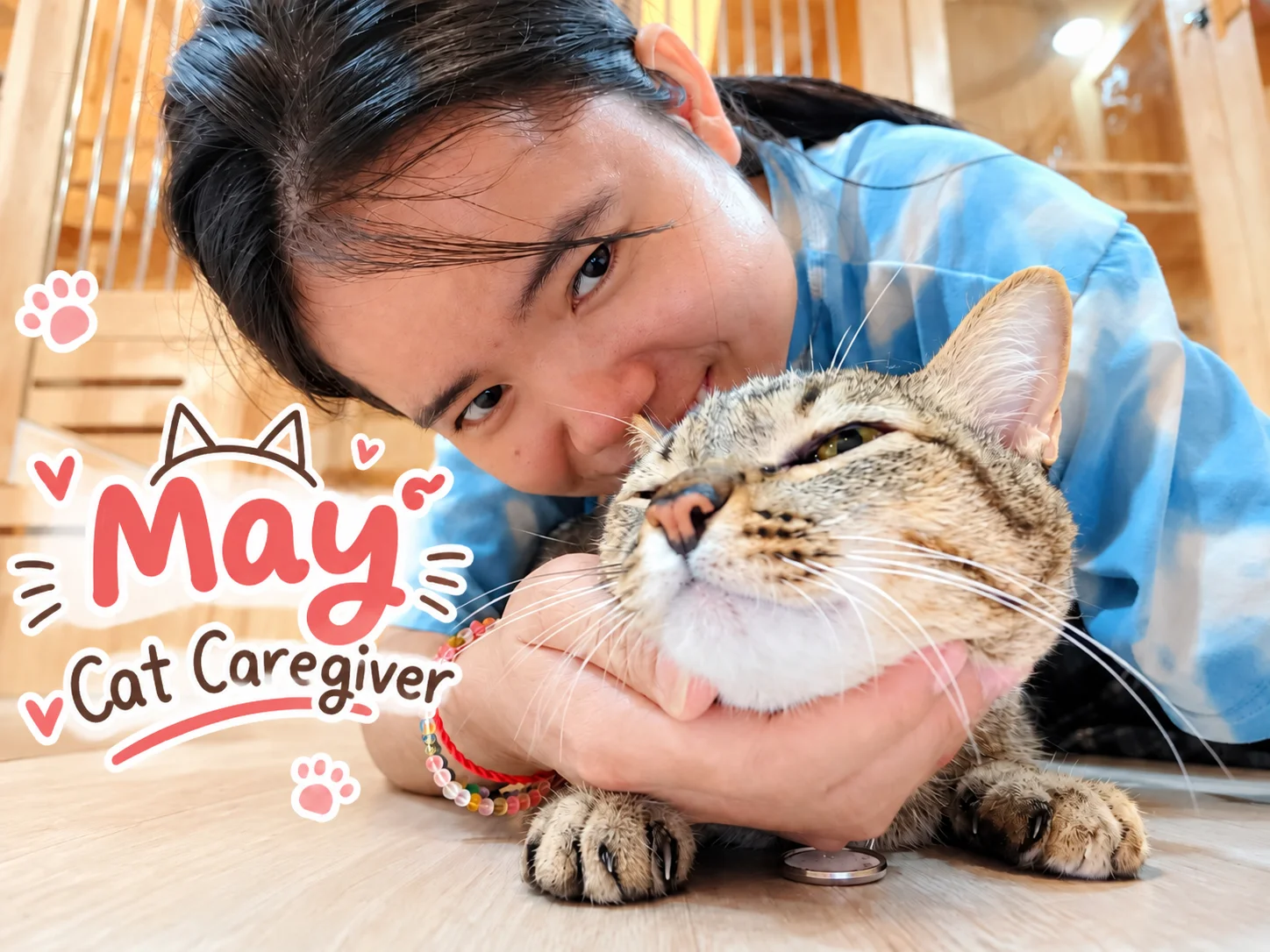 Why Does 24-Hour On-Site Care Matter? Discover Owner-Led Home Care at Everyday Cat Hotel