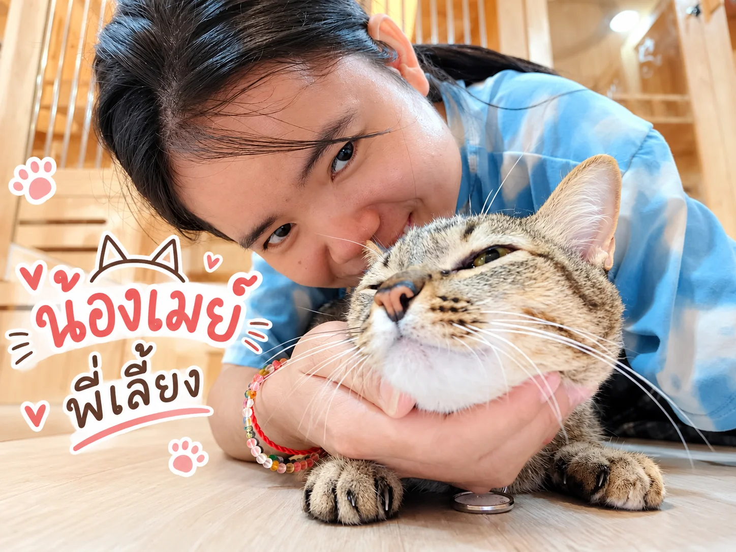 โรงแรมแมวมีพี่เลี้ยง 24 ชั่วโมง | เจ้าของดูแลเองที่ Everyday Cat Hotel