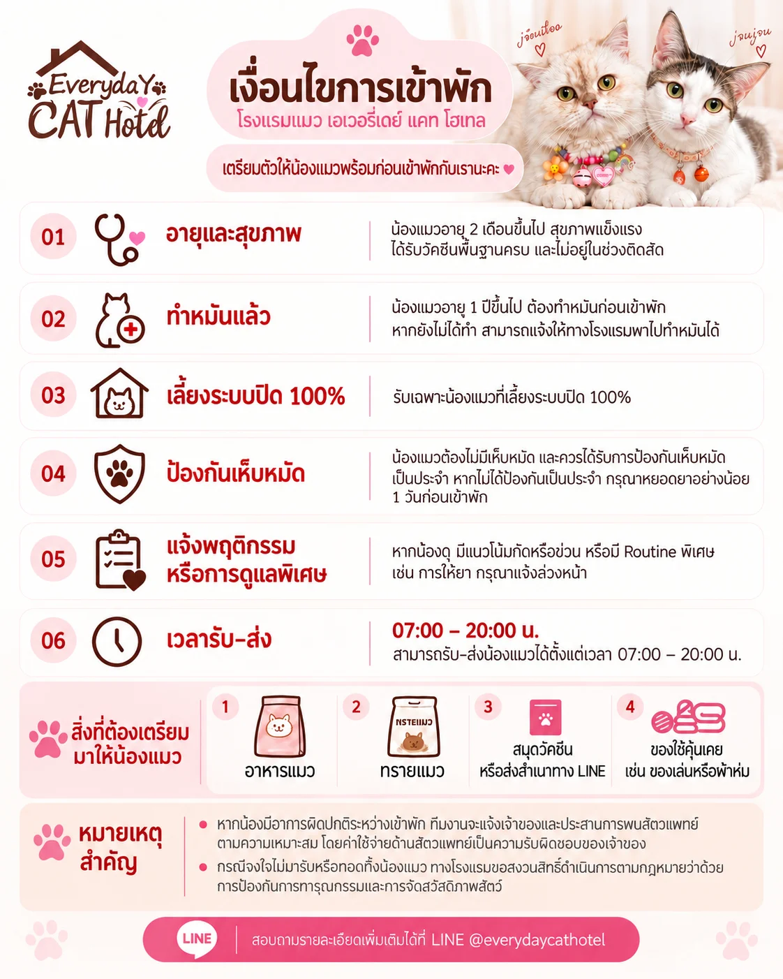 เงื่อนไขการเข้าพักโรงแรมแมว Everyday Cat Hotel