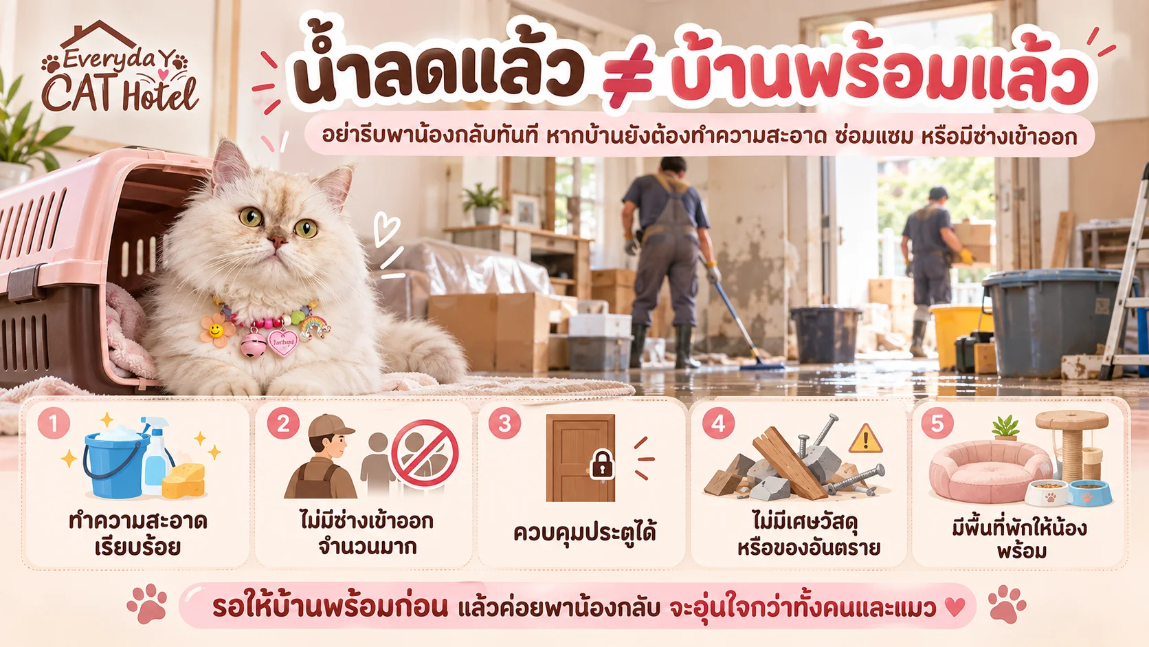 หลังน้ำลด รับน้องแมวกลับได้ทันทีไหม?