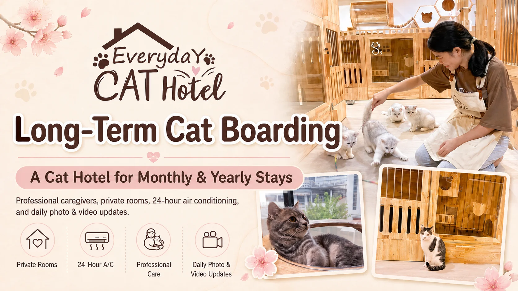 Everyday Cat Hotel Bangkok