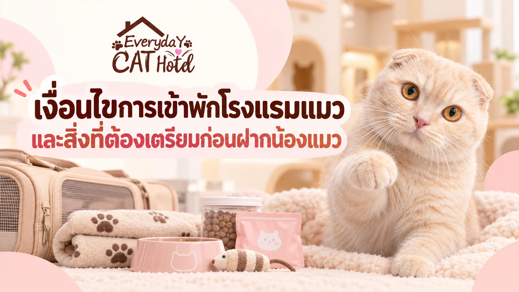 Everyday Cat Hotel Bangkok