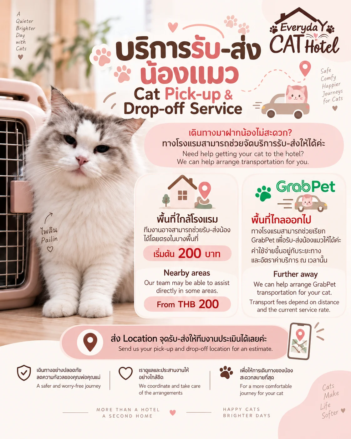 บริการรับ–ส่งน้องแมว