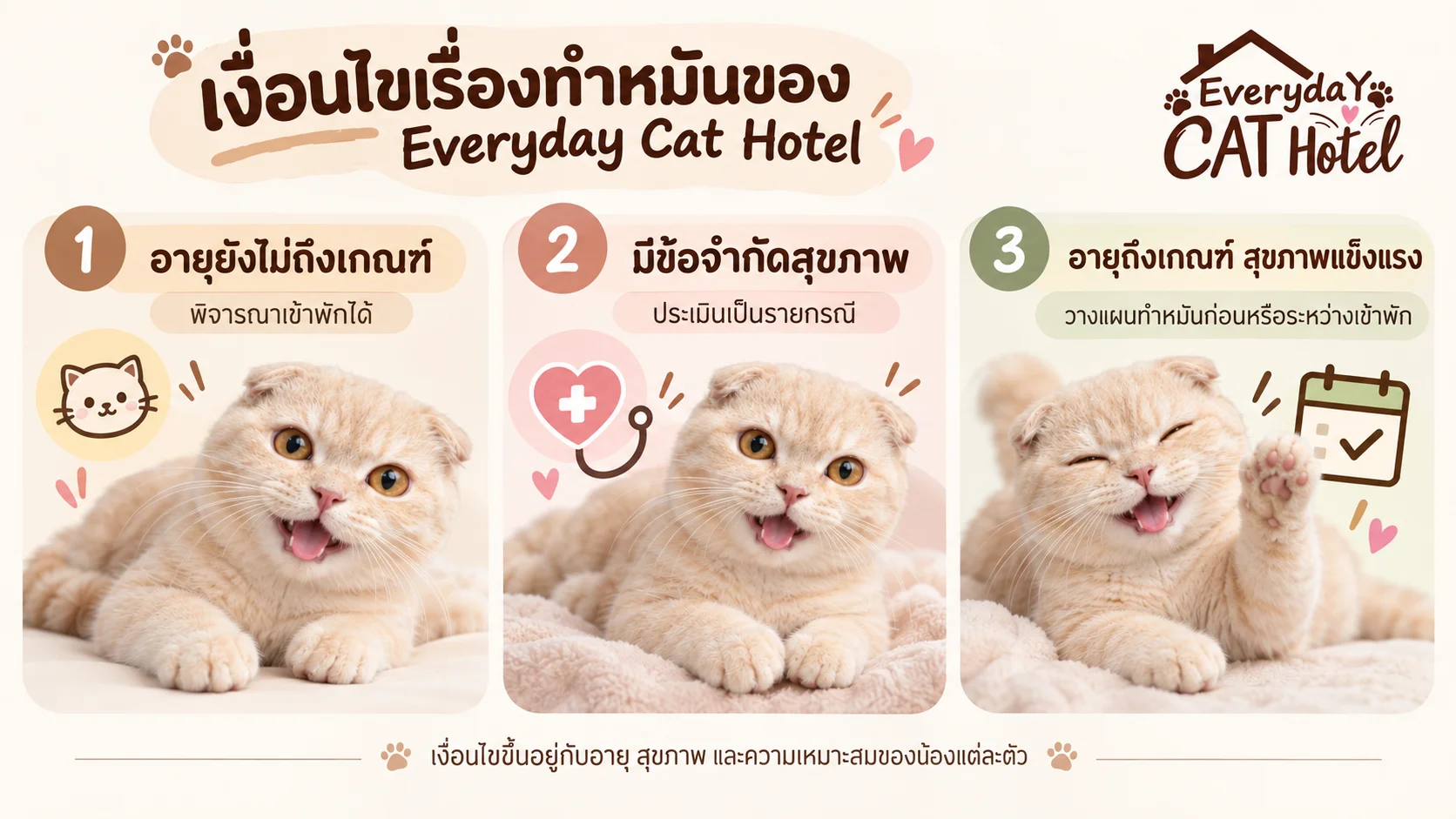 เงื่อนไขเรื่องทำหมันของ Everyday Cat Hotel