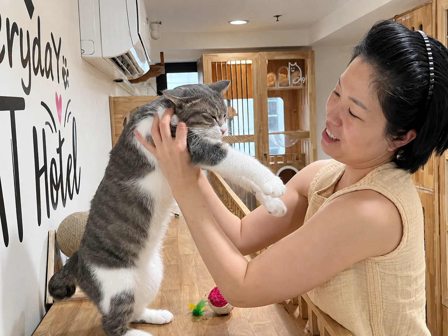 โรงแรมแมวมีพี่เลี้ยง 24 ชั่วโมง | เจ้าของดูแลเองที่ Everyday Cat Hotel