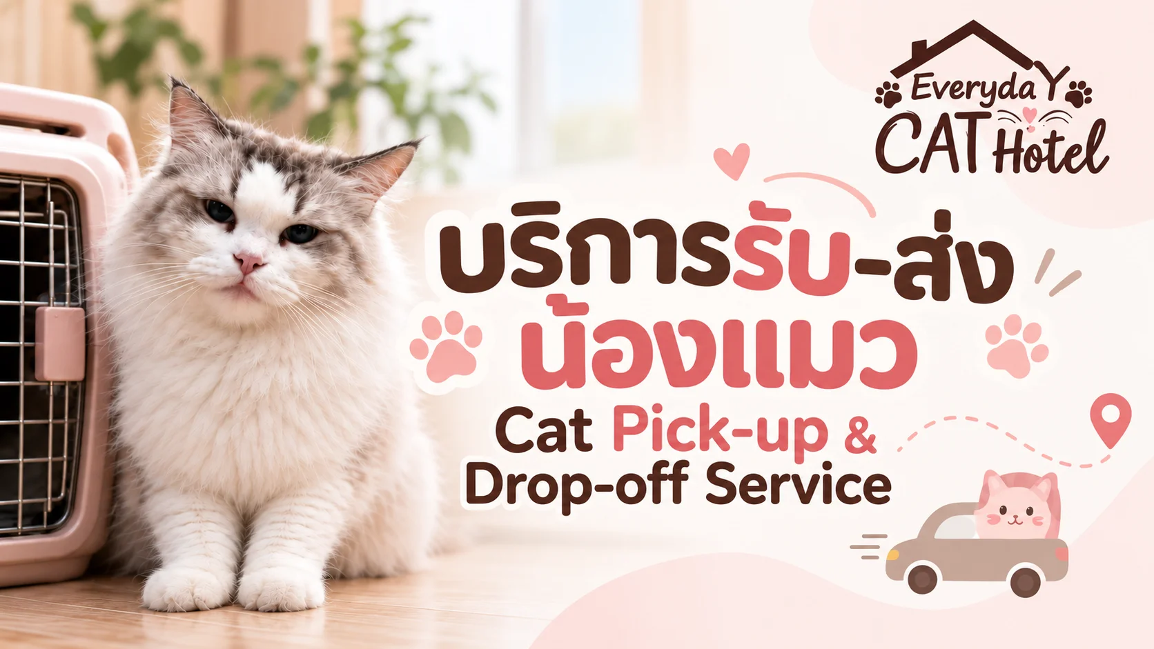 Everyday Cat Hotel Bangkok