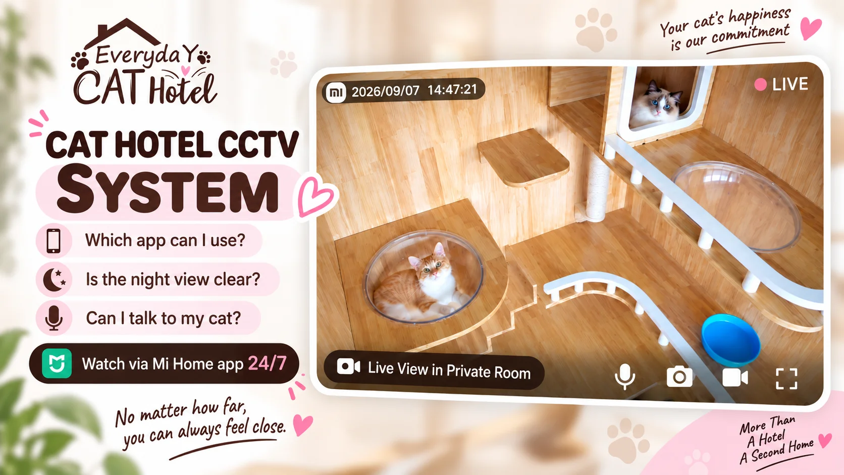Everyday Cat Hotel Bangkok
