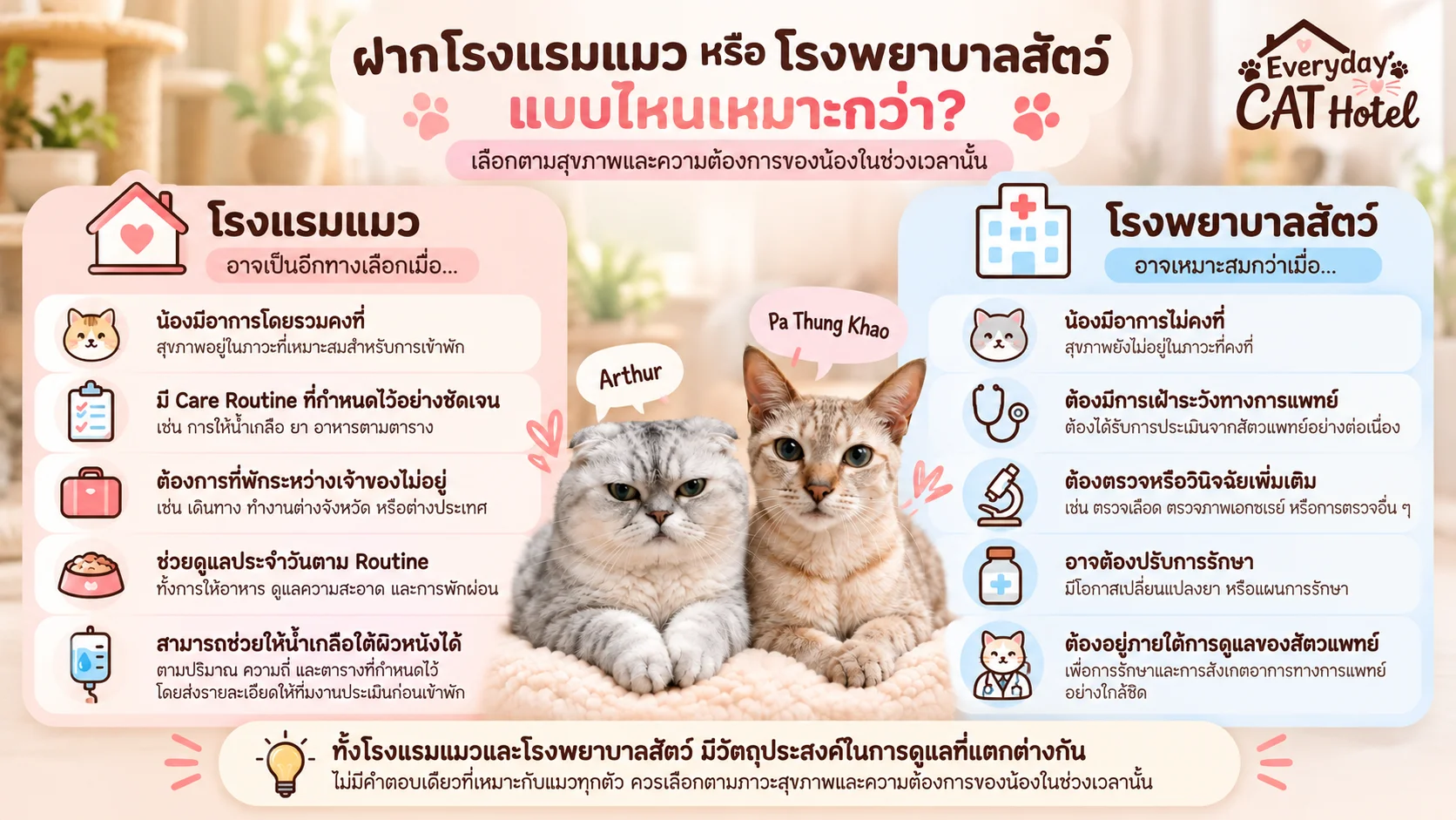 ฝากโรงแรมแมวหรือโรงพยาบาลสัตว์ แบบไหนเหมาะกว่า?