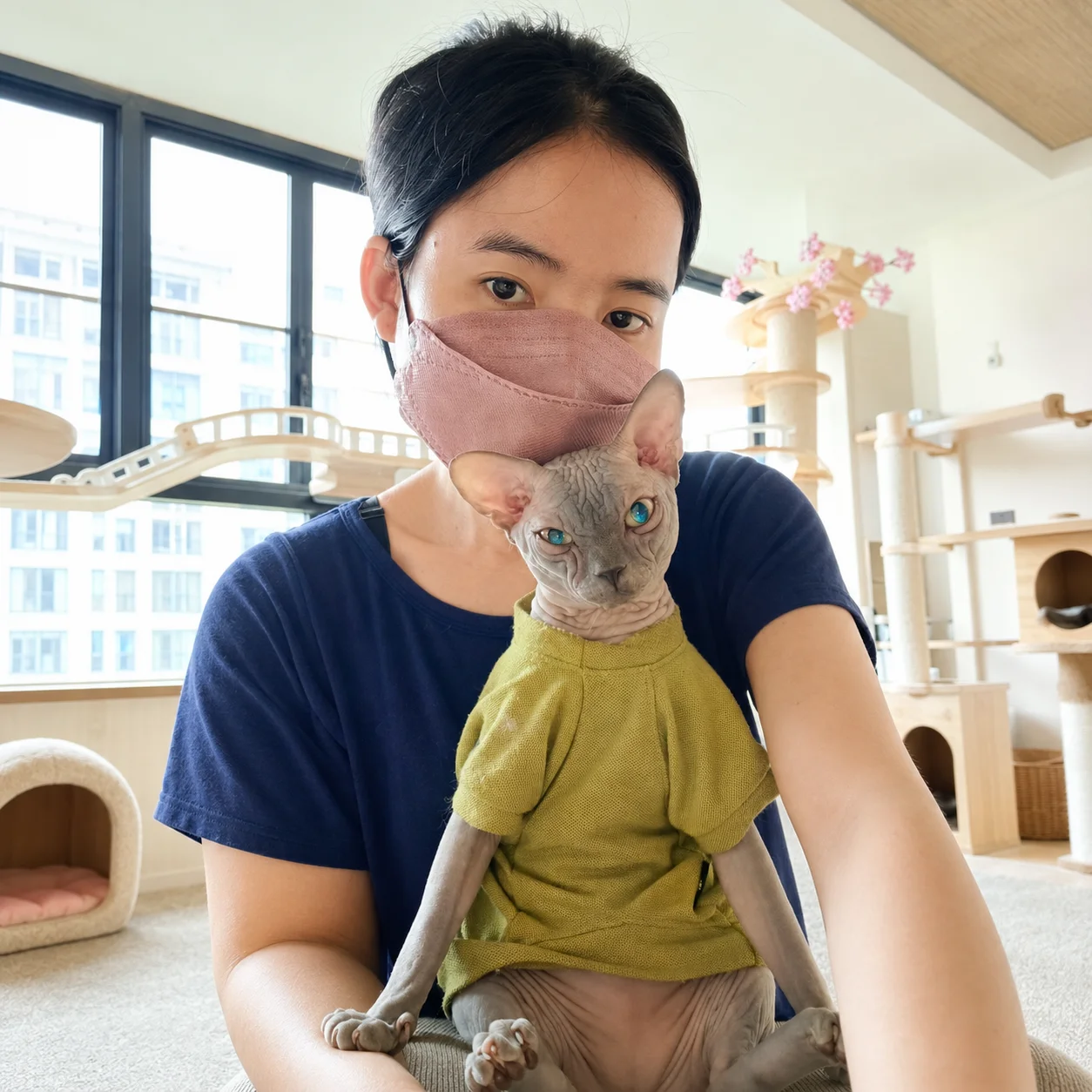 Everyday Cat Hotel Bangkok