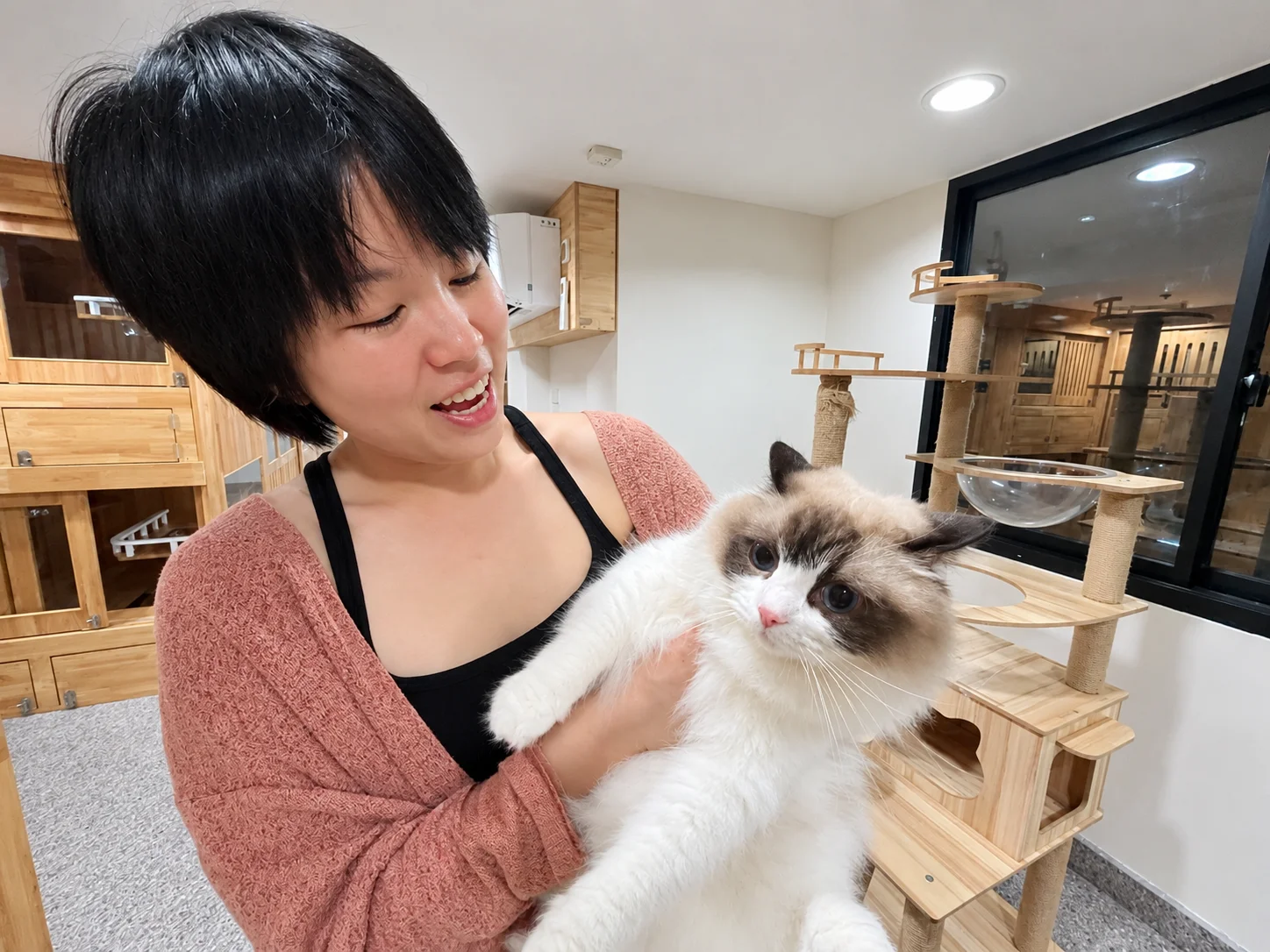 Why Does 24-Hour On-Site Care Matter? Discover Owner-Led Home Care at Everyday Cat Hotel