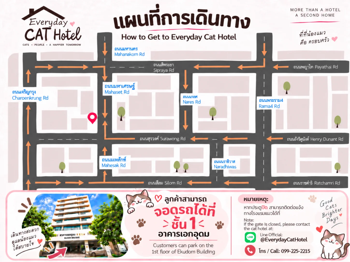 Everyday Cat Hotel Bangkok