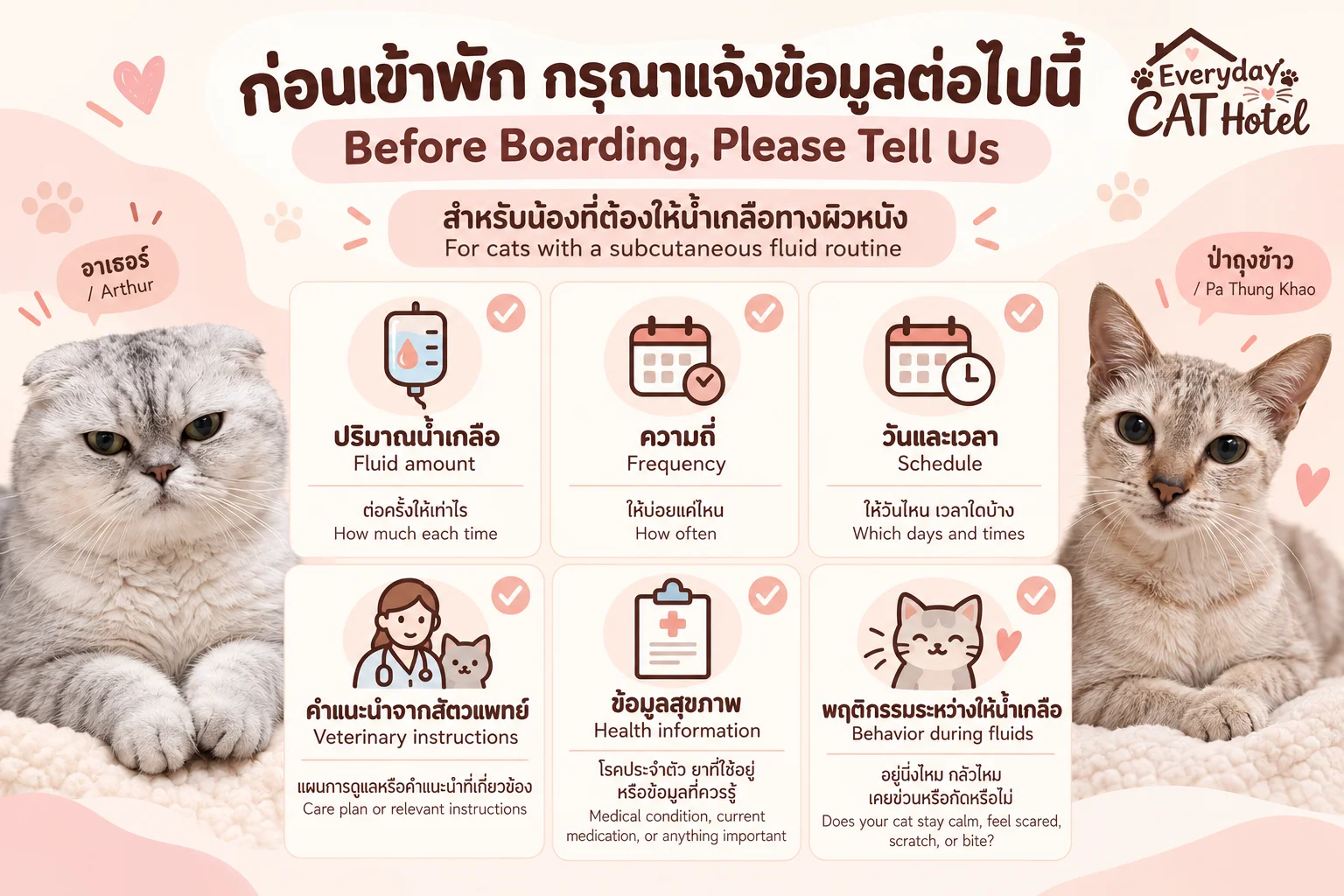 ก่อนฝากแมวที่ต้องให้น้ำเกลือ ควรแจ้งอะไรบ้าง?